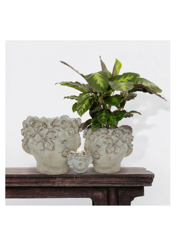 kissing planter