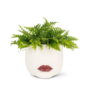 Red Lip Planter - Image 3
