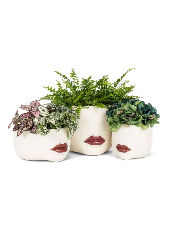 ruby woo planter