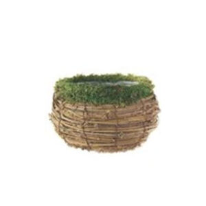 Moss Planters - Image 4