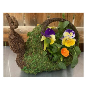 snail moss planter