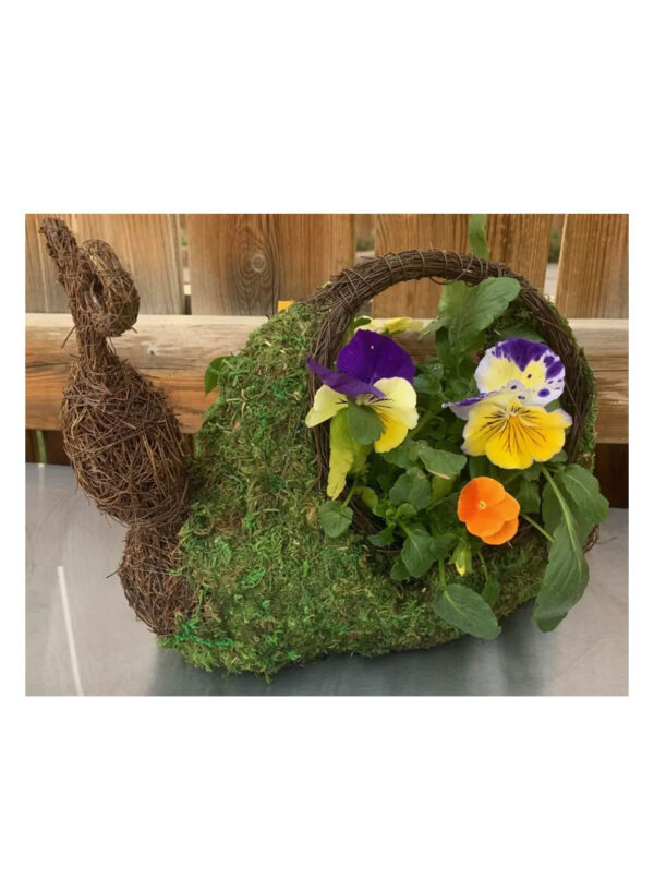 snail moss planter